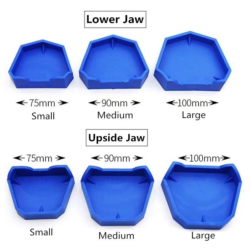 6 개/대 치과 모델 기본 실리콘 고무 석고 모델 기본 - Teeth Whitening Trays 리뷰 및 가격